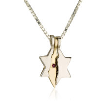 Star of David Israel Defender Necklace